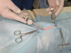 Лапароскопическая операция по стерилизации кошек