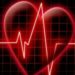 Методы исследования сердечно-сосудистой системы у животных: общий осмотр и сердечный толчок